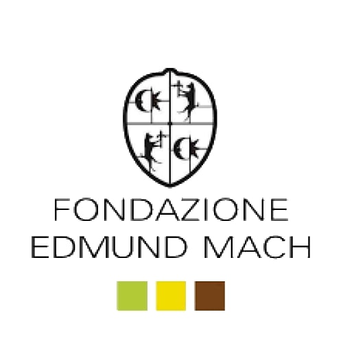 FEM logo