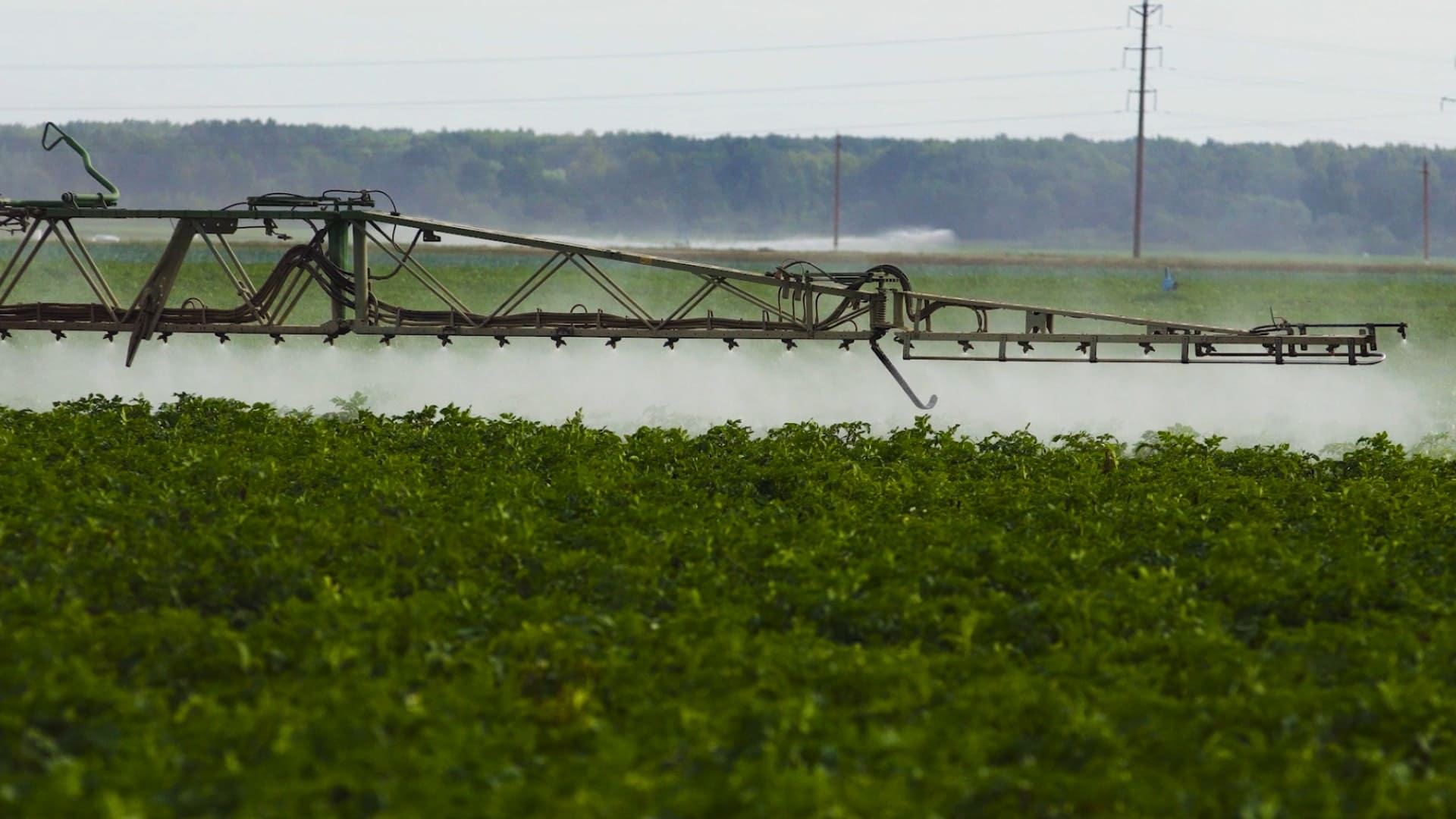 Tractor spraying on large green field