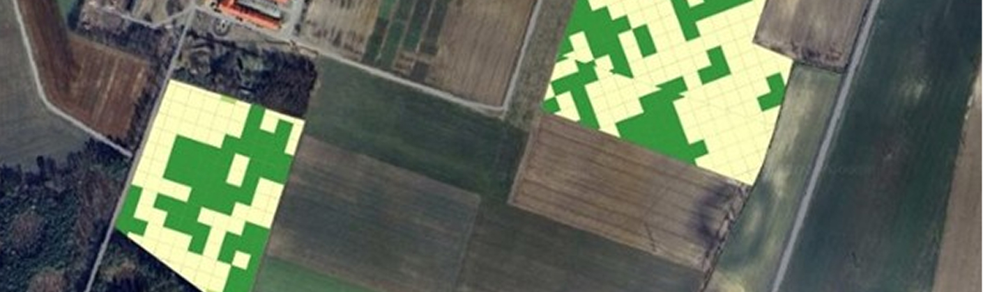 SoilEO mapping