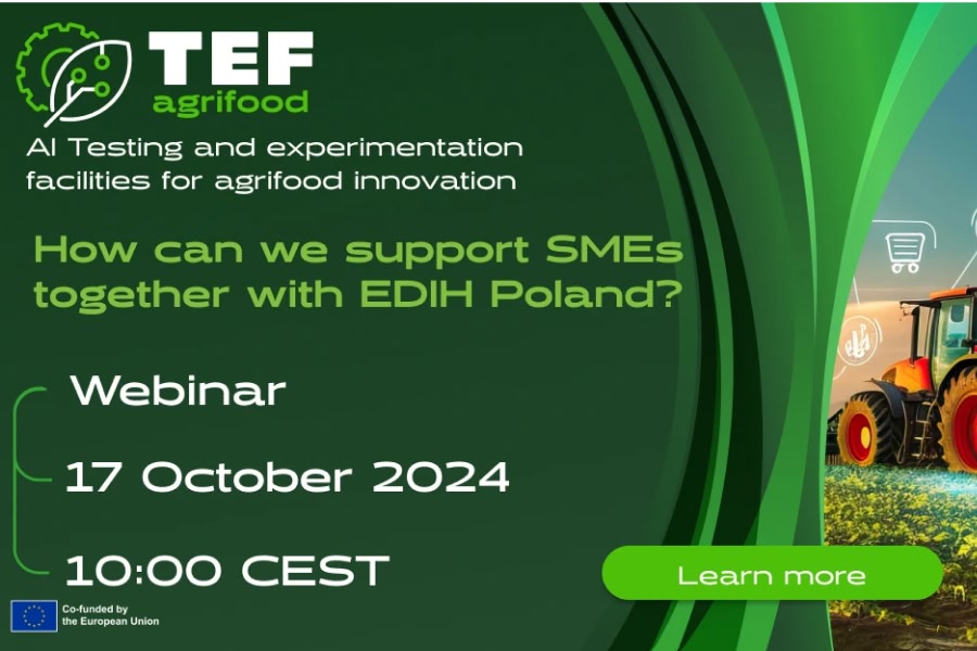 Banner for polish Webinar
