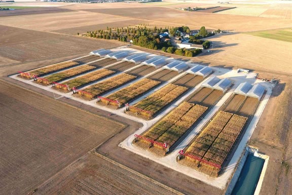 Ouzouer le Marché site