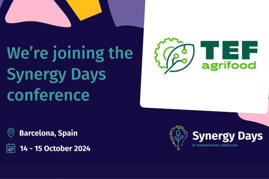 synergy_days_agrifoodtef