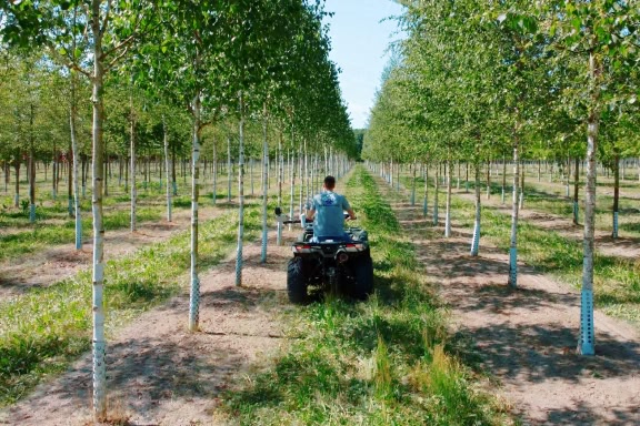 agricultural machine in the field