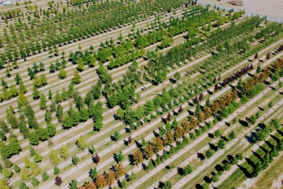 agrowizard picture with fields