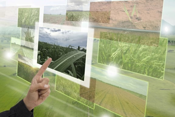 Internet of things (agriculture concept),smart farming, industrial agriculture.