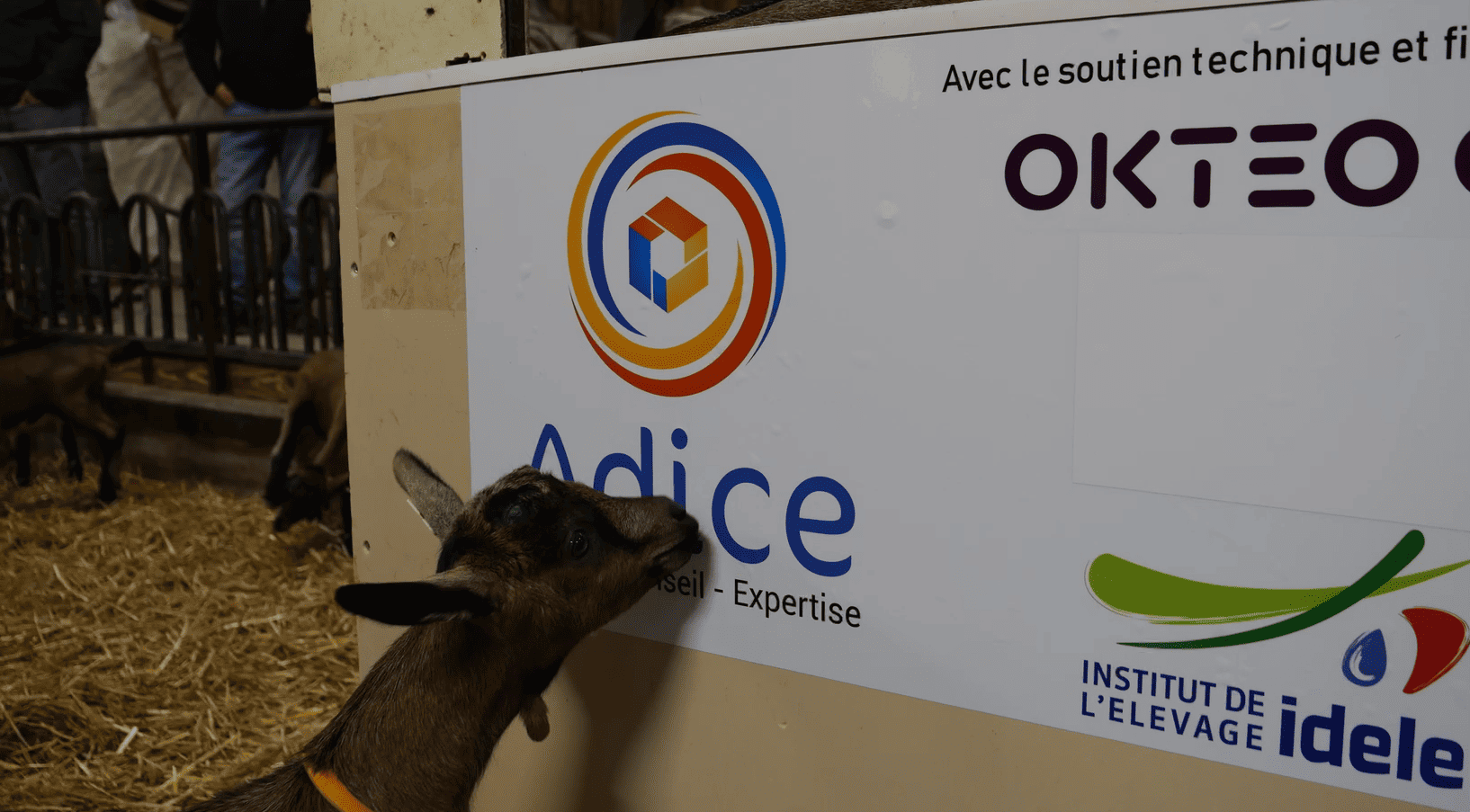ADICE - Success story