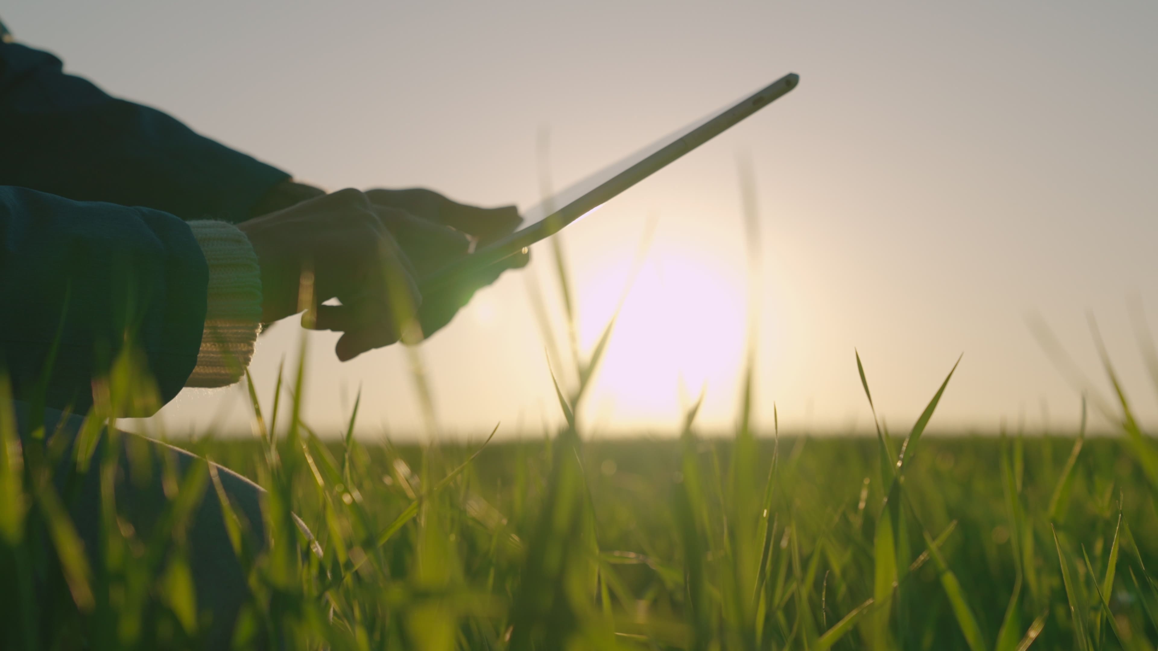 AgroNetPro