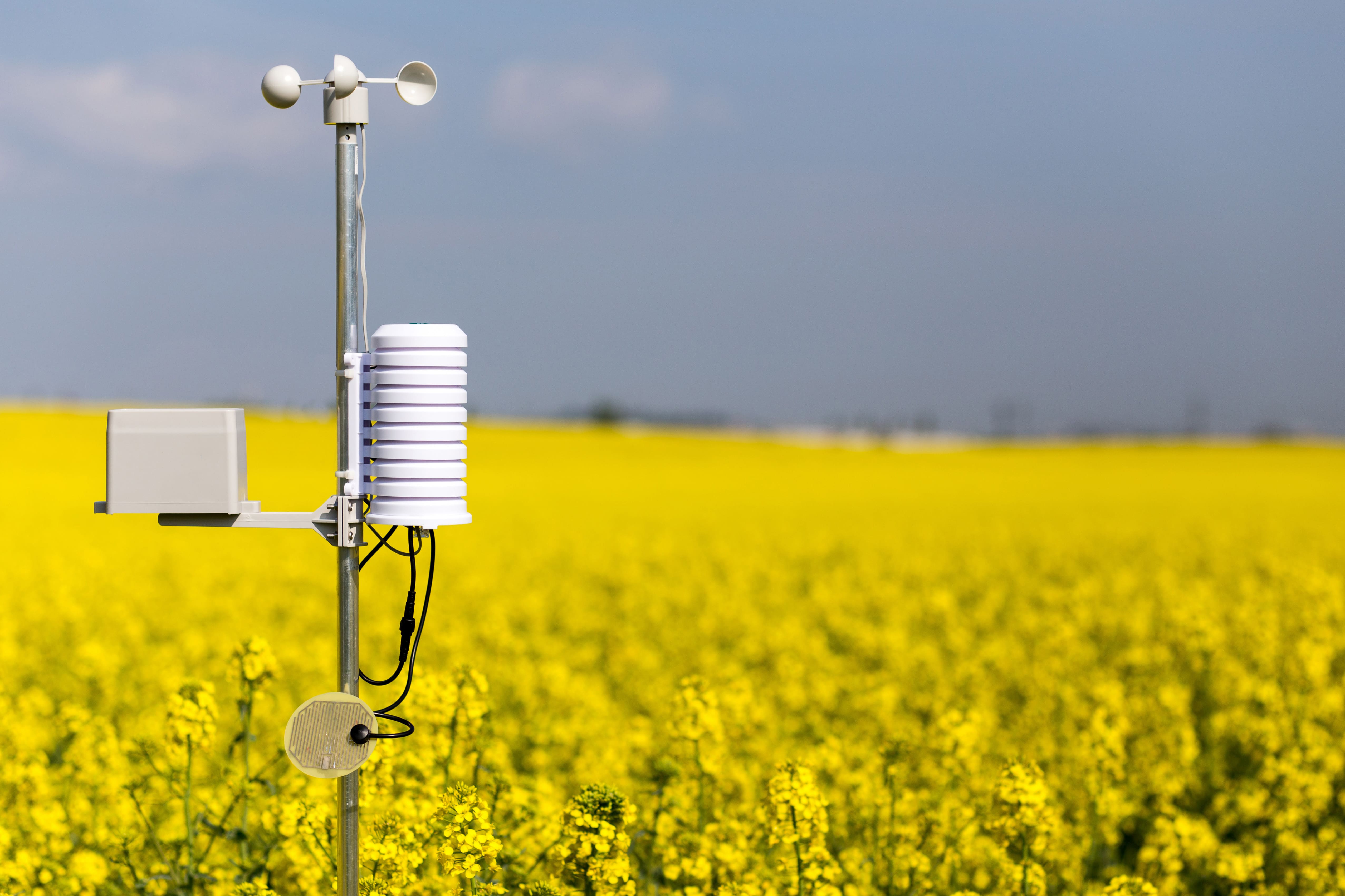 AgroNetPro