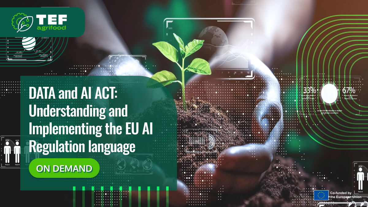 DATA och AI ACT: Förstå och genomföra språket i EU:s AI-förordning