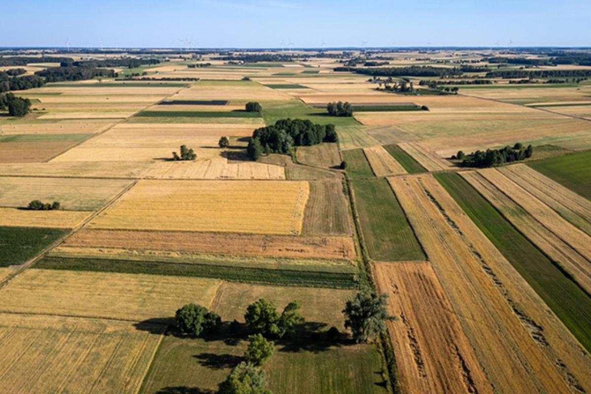 Aerial view of agricultural fields in Korytnica commune, rural Poland landscape