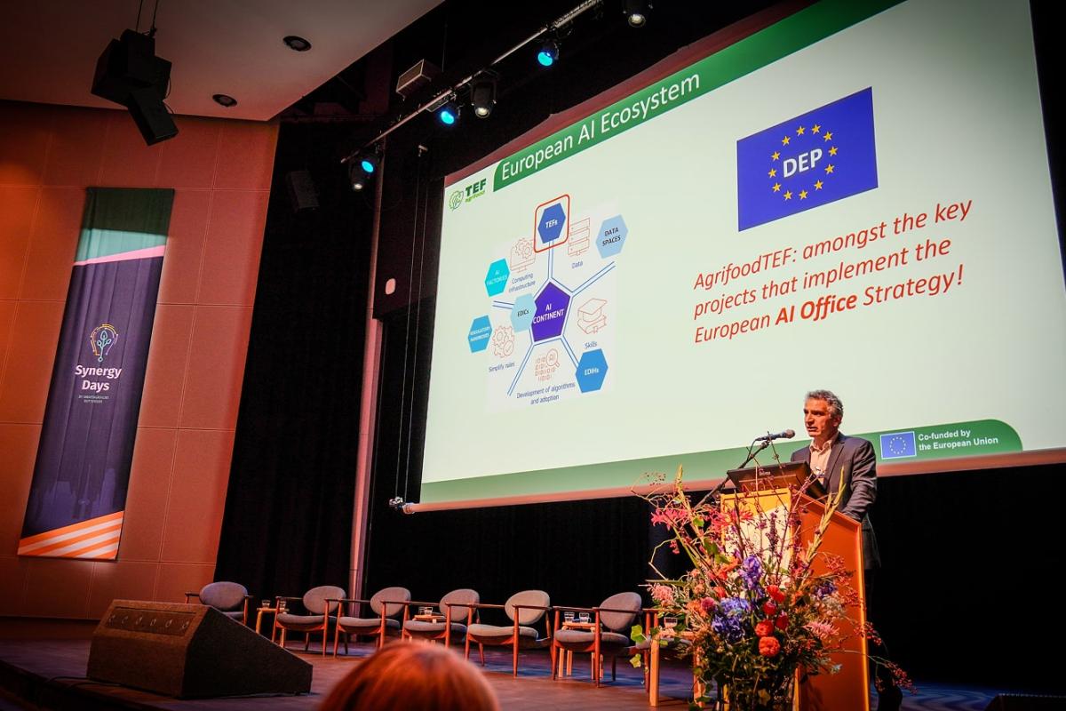 Synergy Days, Raffaele Giaffreda presenting