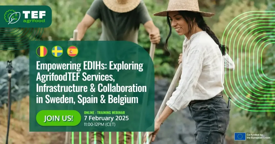 Empowering EDIHs